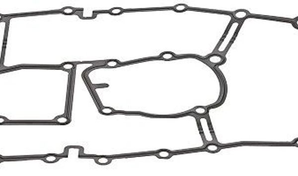 [919.899] Gasket, timing case (Elring)
