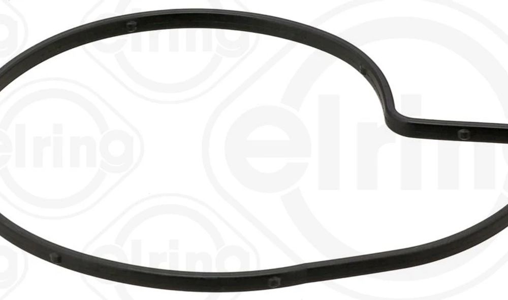 Gasket, water pump (Elring)